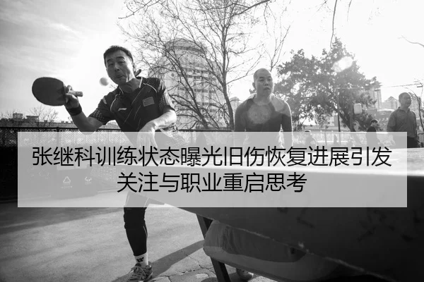 张继科训练状态曝光旧伤恢复进展引发关注与职业重启思考